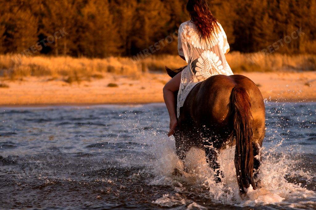 A beautiful woman riding a majestic horse galloping along the water on a beach
