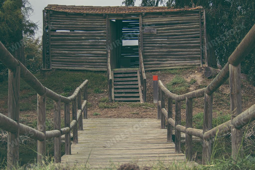 A wooden bridge leading to a wooden cabin in a forest area