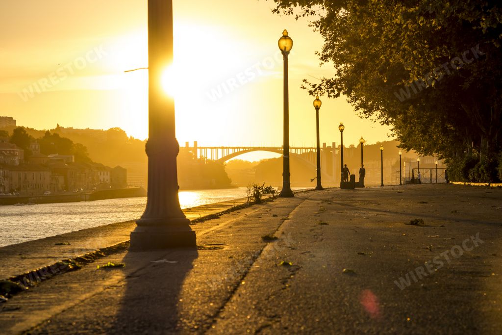 A low angle shot of a river with a bridge, a street, street lamps, and trees during sunset