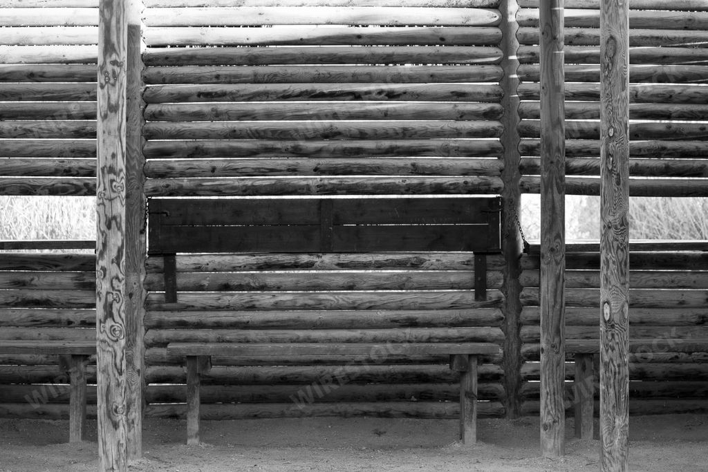 A grayscale shot of  a wooden  bench with fence
