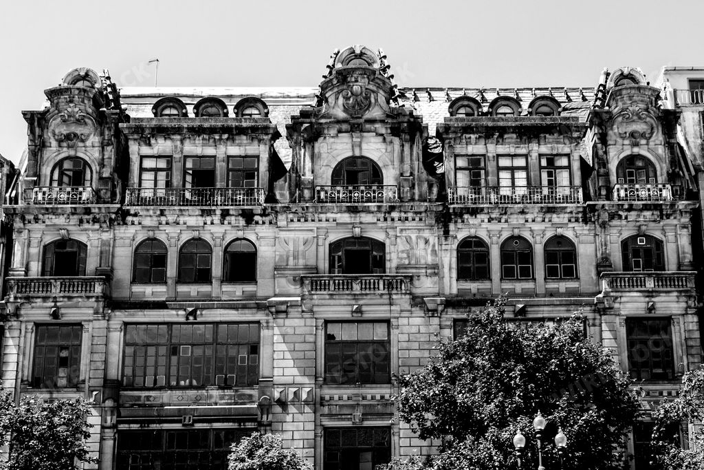 A greyscale landscape shot of an old fashioned palace