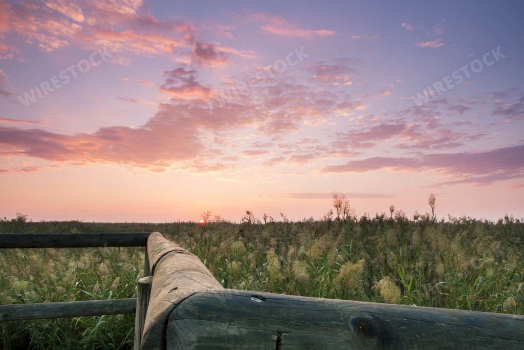 A wooden fence in a field covered in the grass under a cloudy sky during the sunset