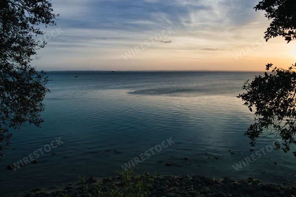 A framed shot of the ocean through silhouettes of tree
