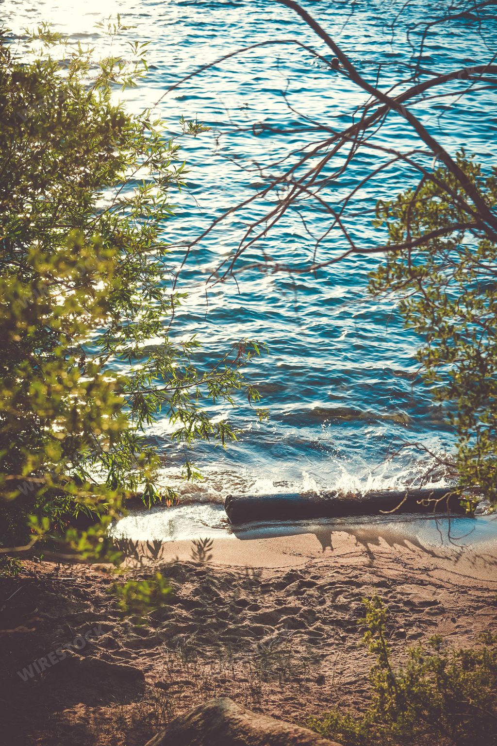 A vertical shot of a beautiful lake surrounded by green trees with bright sun rays reflected in the water