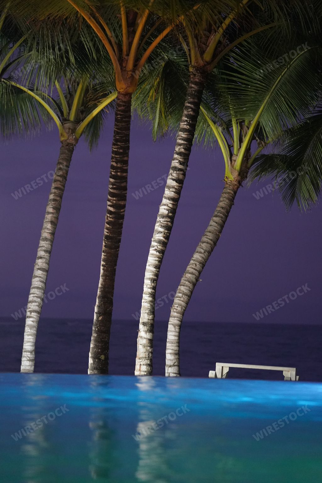 A vertical shot of palm trees near an infinity pool in the Dominican Republic at night