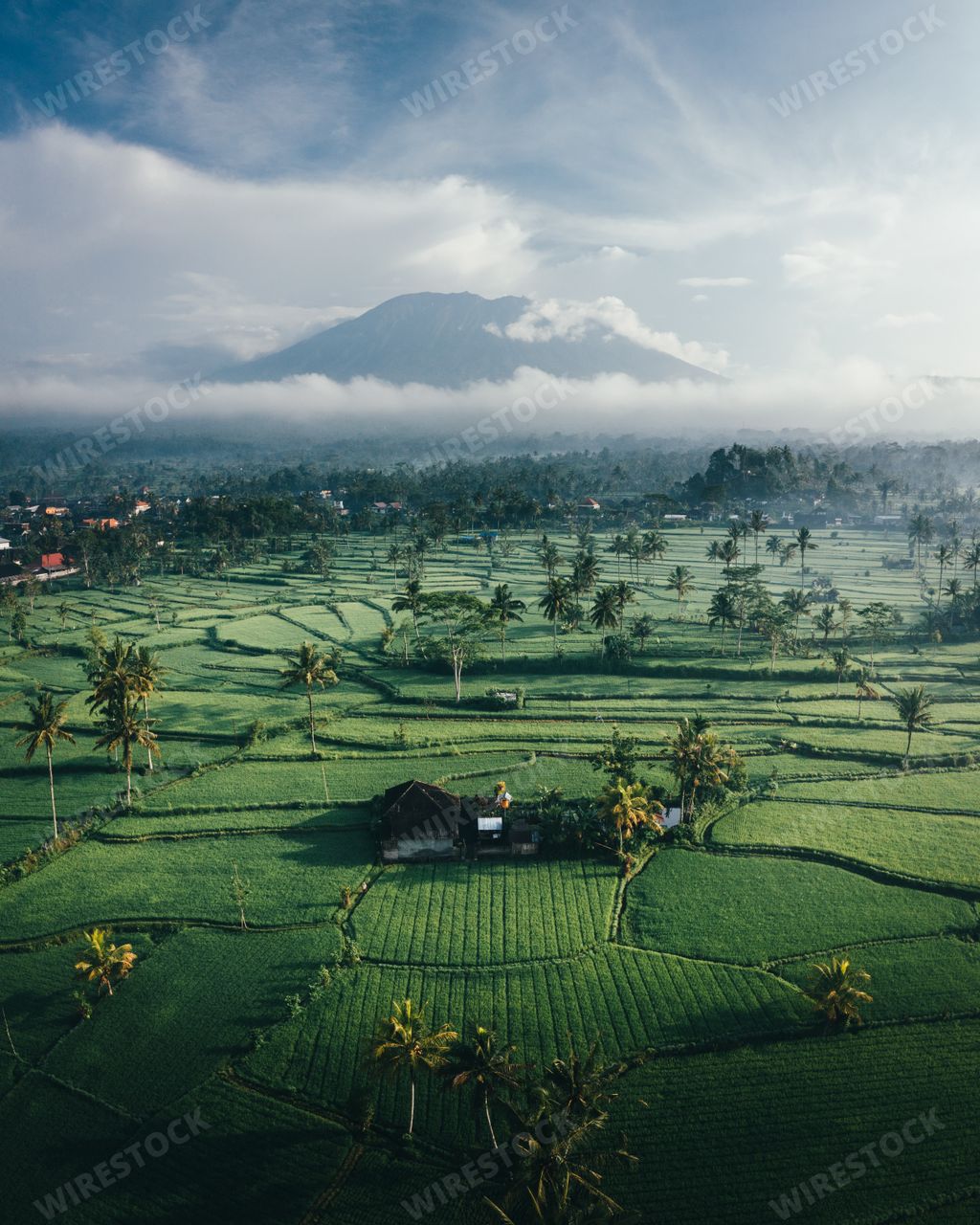 An aerial beautiful scene of green spaces, trees and rural houses against a light blue horizon sky