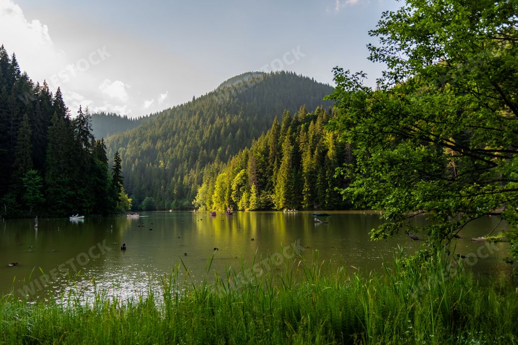 A serene mountain lake surrounded by lush green forest under a clear sky