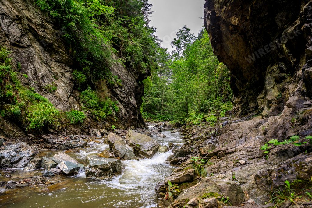 A scenic view of a rocky stream flowing through a lush green canyon in Vrancea Natural Park, Focsani, Romania