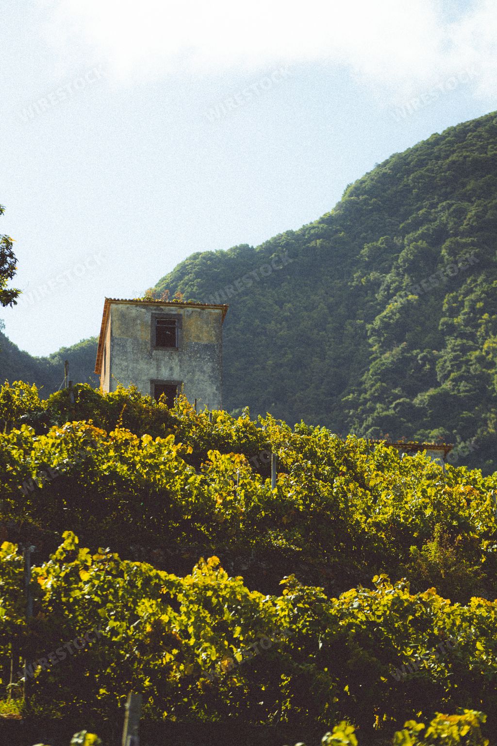 A vertical shot of an abandoned building at the foot of a mountain surrounded by forest