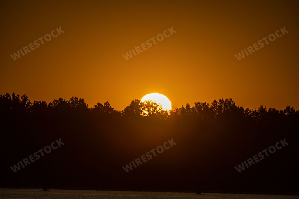 A scenic view of silhouette of trees and a golden sun hidden behind them at gorgeous sunset