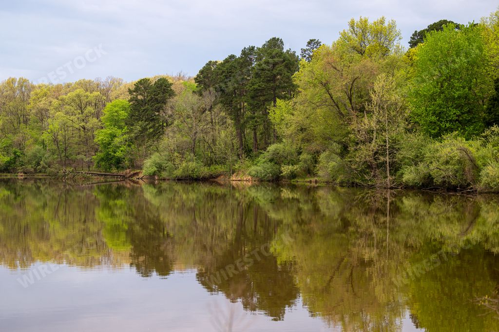 A lake reflecting surrounding trees in a forest