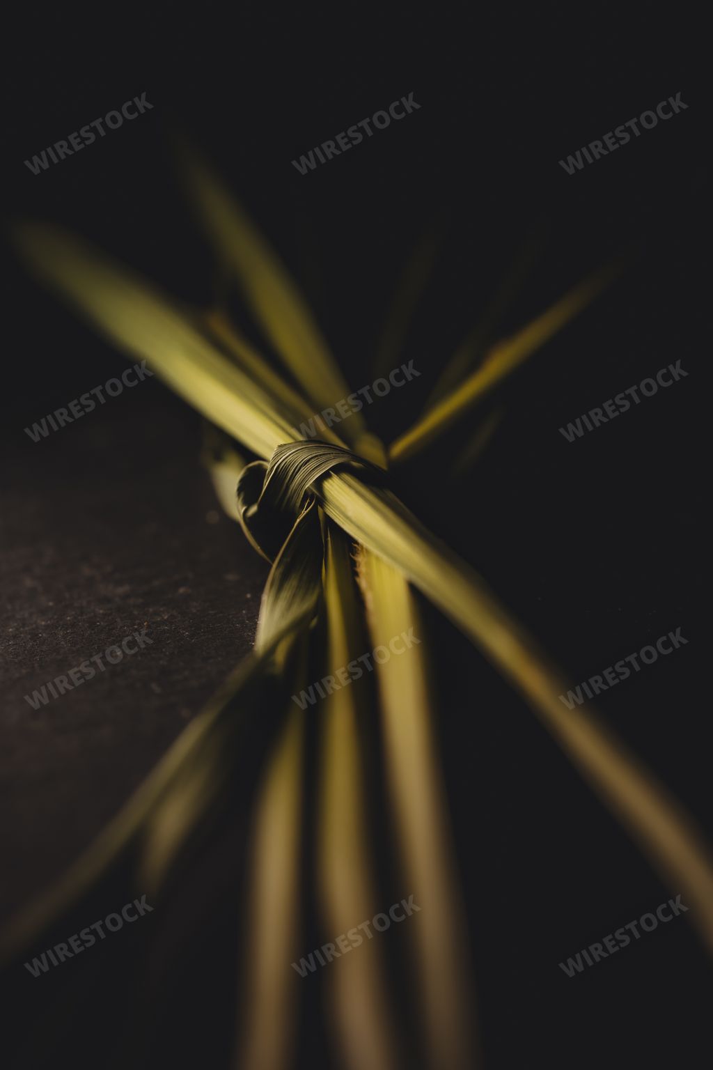 A vertical macro shot of green reed stems tied together in dark wall background