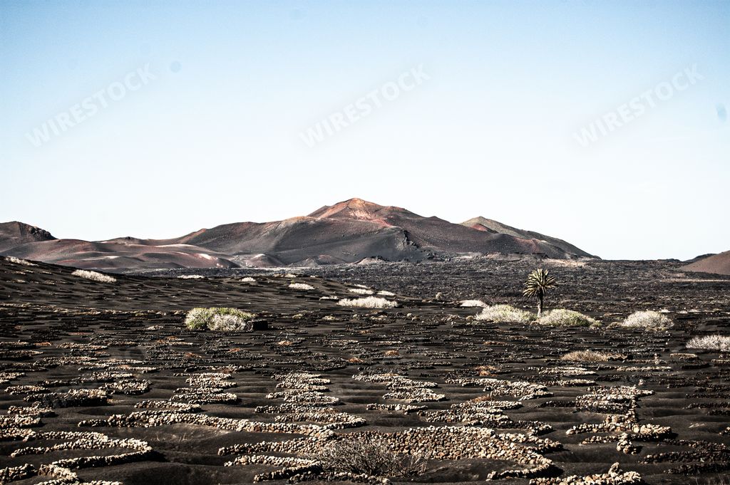 A horizontal shot of the beautiful landscape in Lanzarote, Spain during daylight