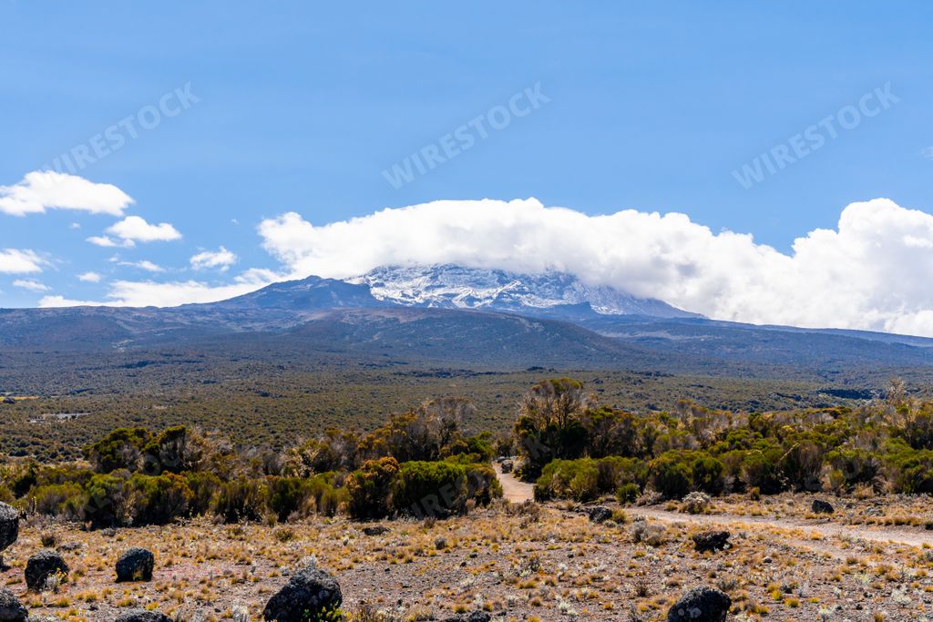 The landscape view of the volcanic terrain near Kilimanjaro mountain in Tanzania