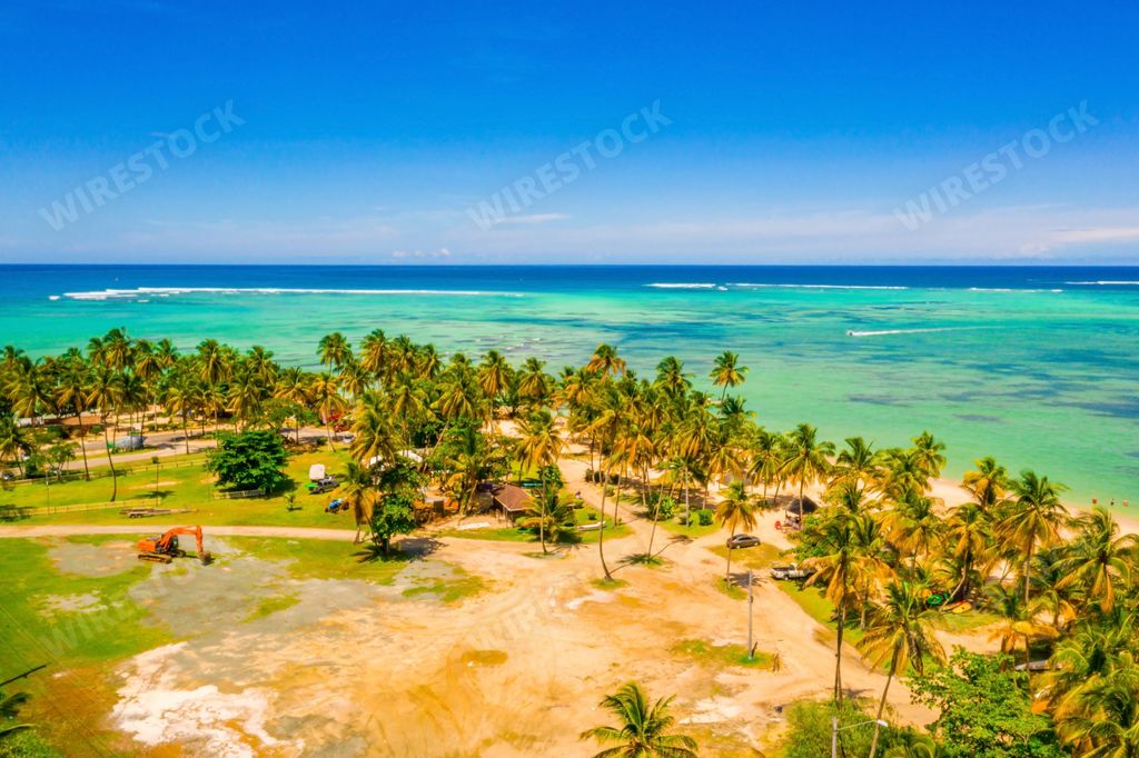 A beautiful seascape, a tropical beach with palm trees and a blue ocean under a clear sky