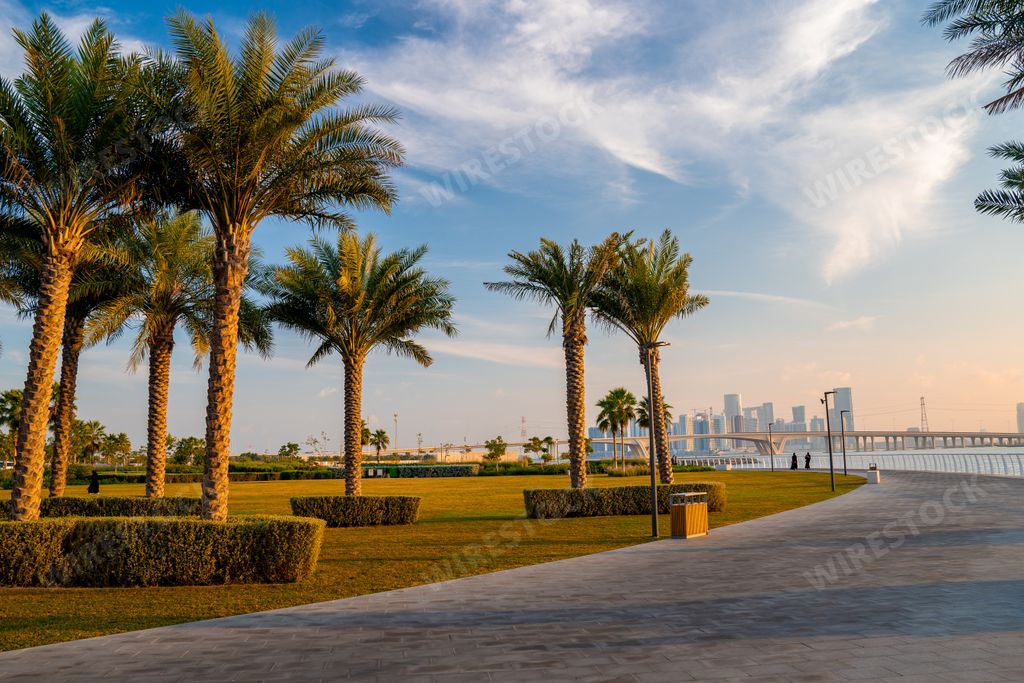 The palm trees and skyscrapers on the shore of the sea in Abu Dhabi, UAE during sunset