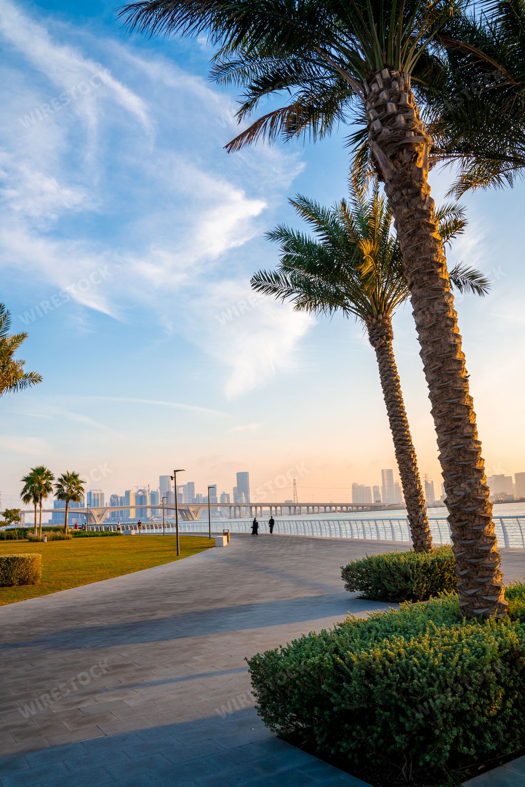 A vertical shot of the palm trees and skyscrapers on the shore of the sea in Abu Dhabi, UAE