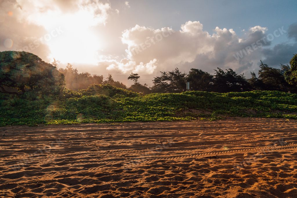 A view of a beautiful landscape of the Kauai beach in Hawaii during sunset