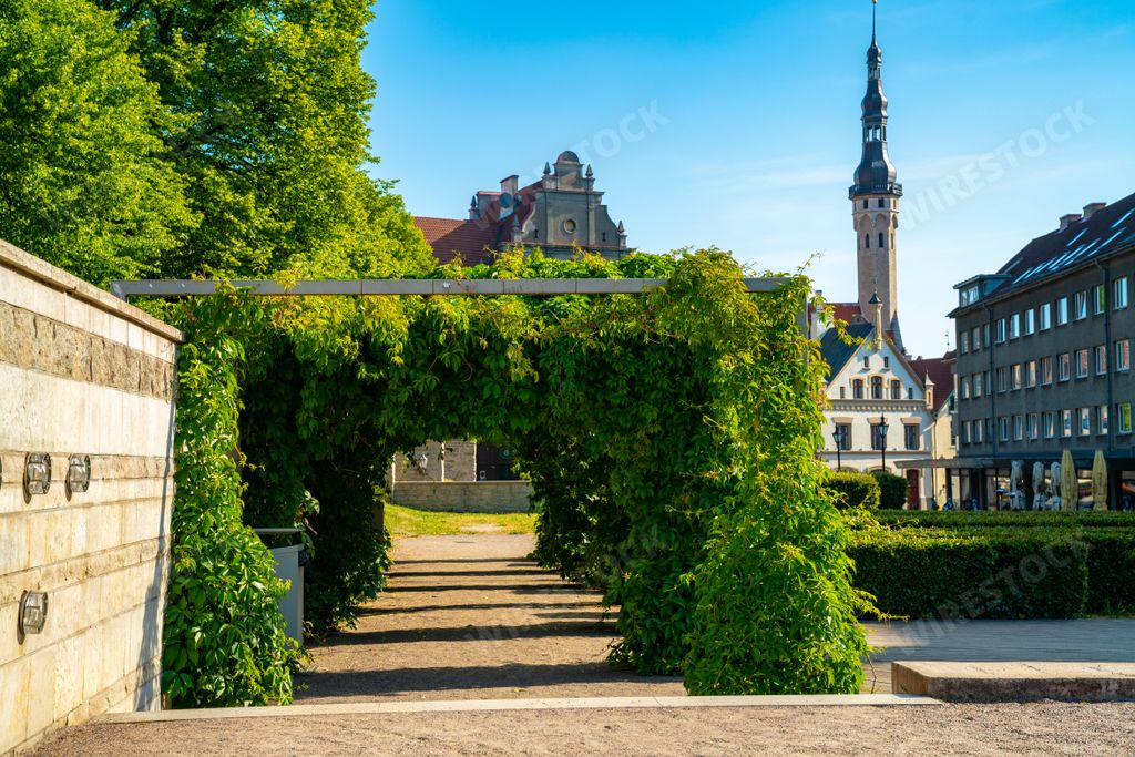 A beautiful shot of Tallinn Town Hall Square, Estonia