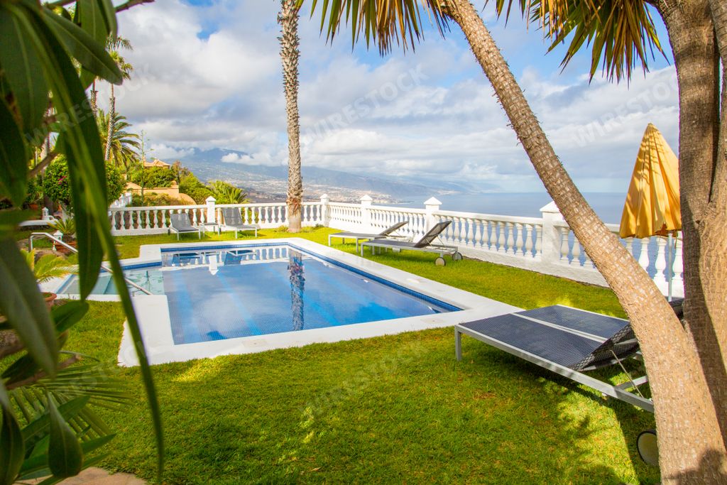 A closeup shot of a pool and sun loungers in a resort