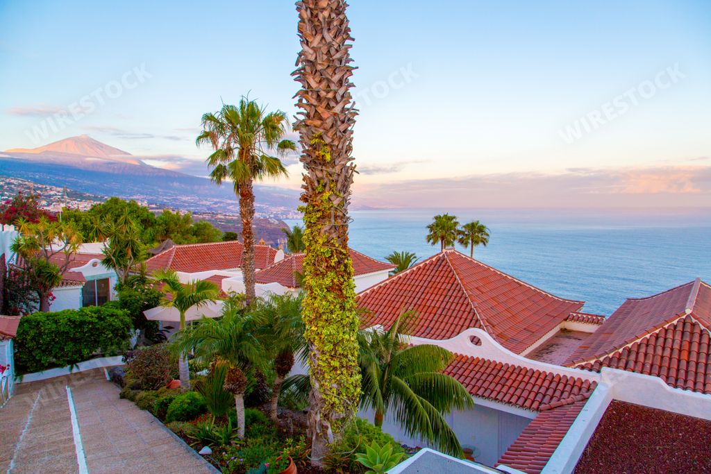 A high angle shot of villa roofs and palms by the Atlantic ocean