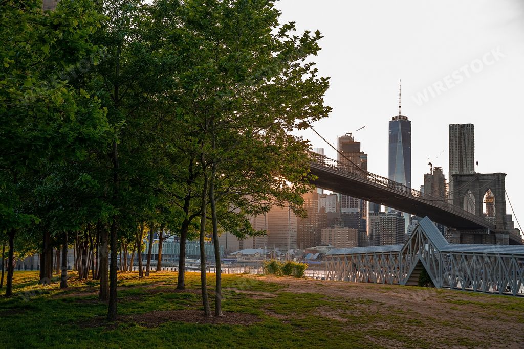 The Brooklyn Bridge from a park at sunset, New York