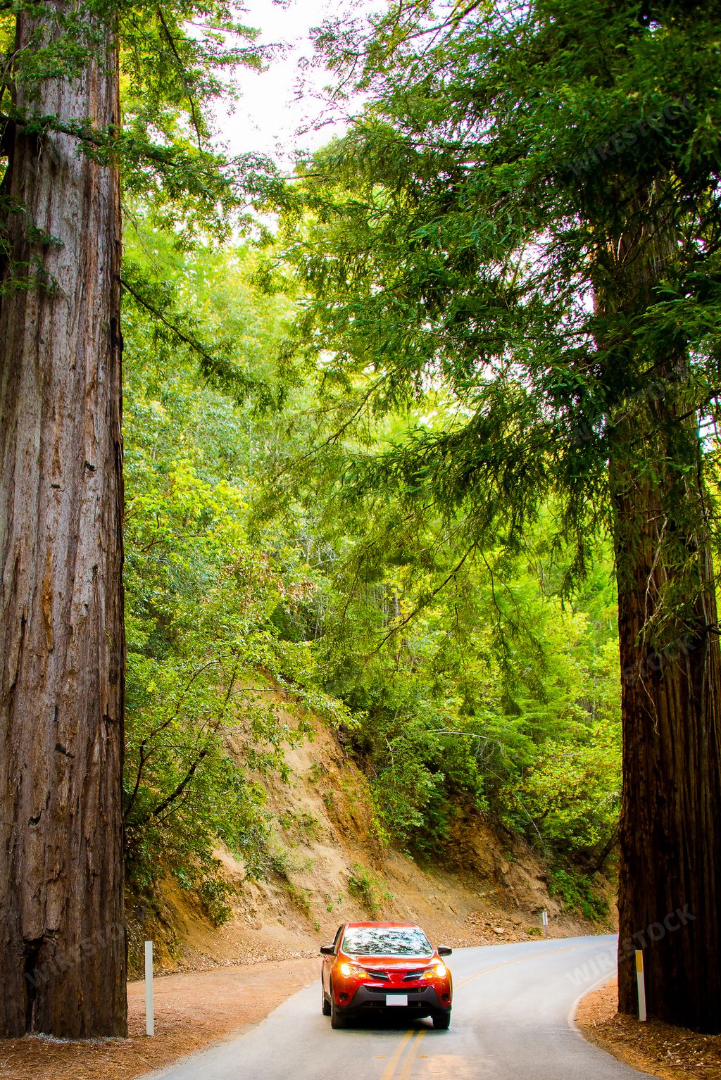 A red car two sequoia trees in the National Redwood Park in California