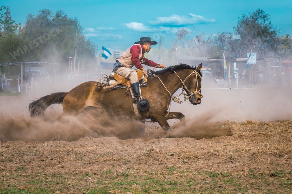 An gaucho in Creole skill games, Patagonia, Argentina