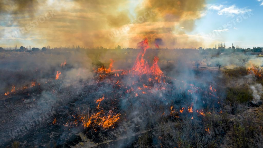 An aerial 4K footage of firemen putting out a wildfire in the grassland