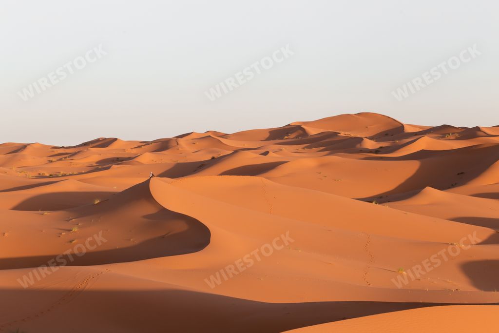 A beautiful scenery of sand dunes in a desert area on a sunny day