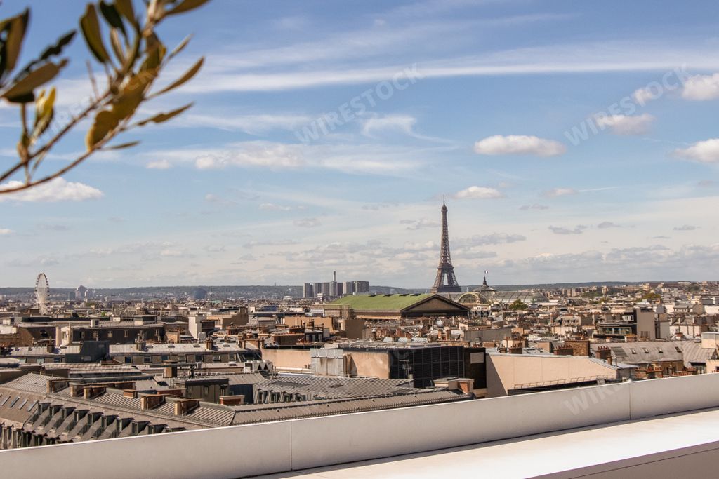 A Paris rooftop skyline with Eiffel Tower and a cityscape view