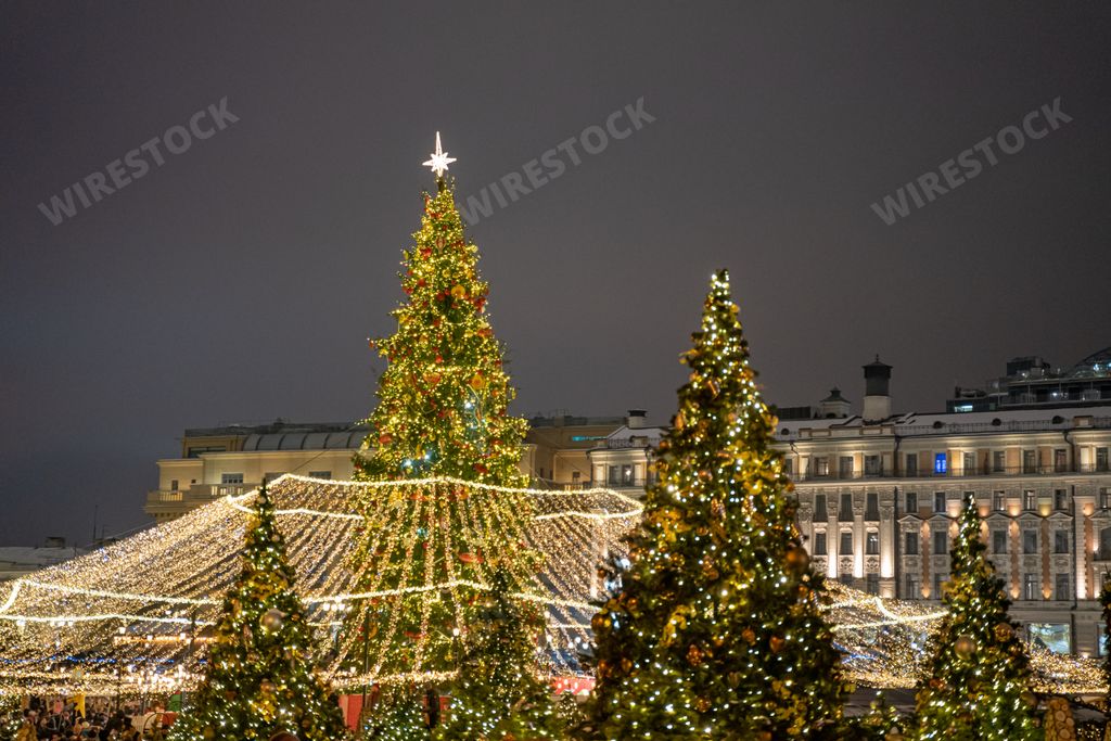 A beautiful view of the decorative Christmas trees with glowing lights against the night sky in Moscow