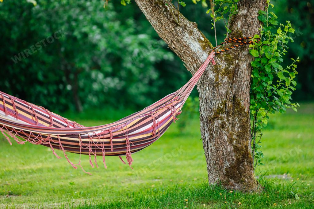 Colorful hammock hanging in the garden between the trees Stock photo Wirestock