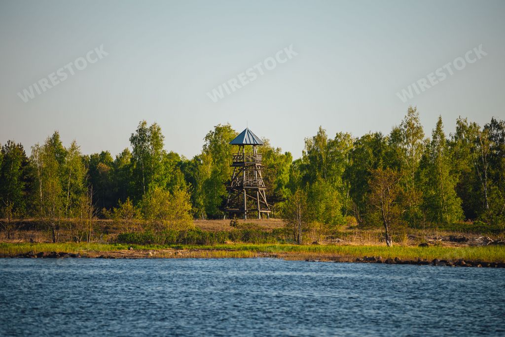 A picturesque gazebo stands in the center of a tranquil marshland, surrounded by lush vegetation and a peaceful body of water