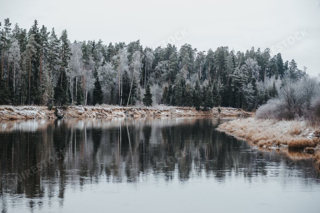 A beautiful wild forest in the wintertime by the river, the Bohemian Forest, Czech Republic