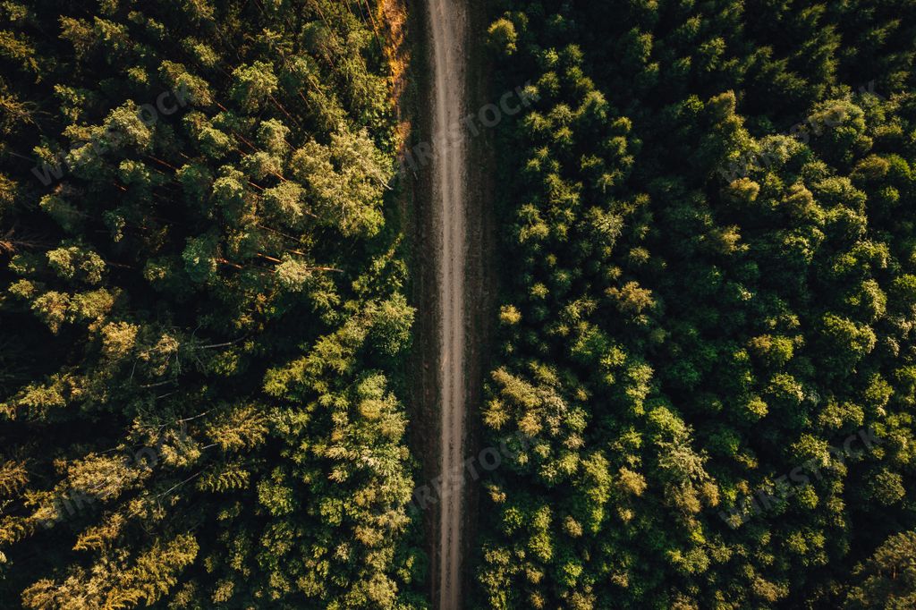 An aerial shot of a narrow earthen road in the middle of the forest surrounded by trees
