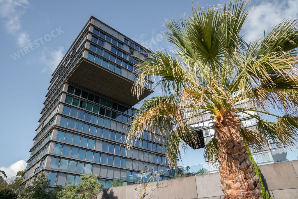 The Estoril Sol Residence, a luxury apartment block and a palm tree