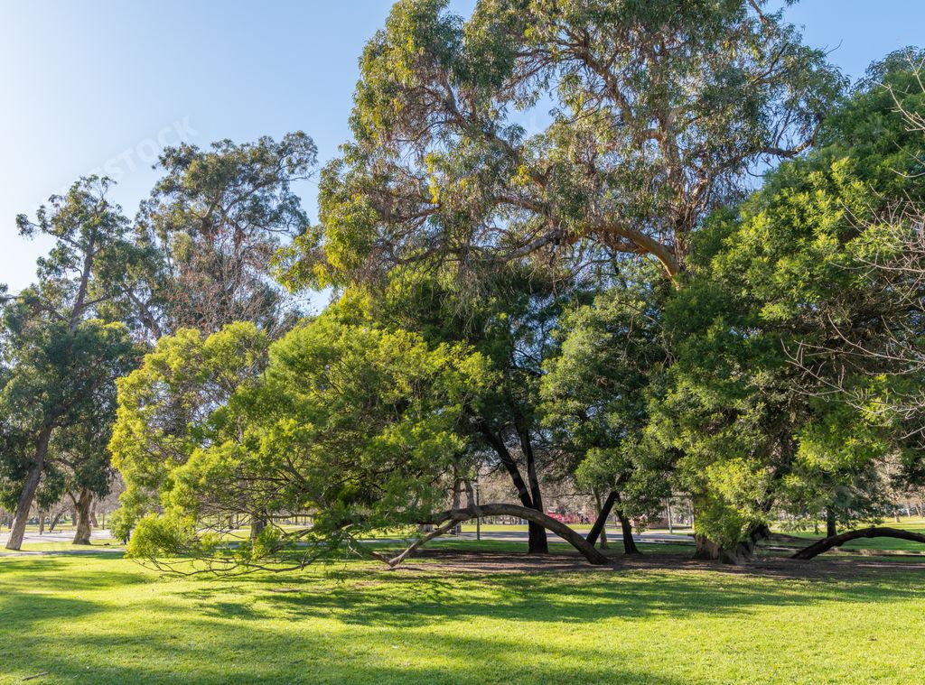 A scenic view of Quinta das Conchas and Lilases Park in Lisbon, Portugal