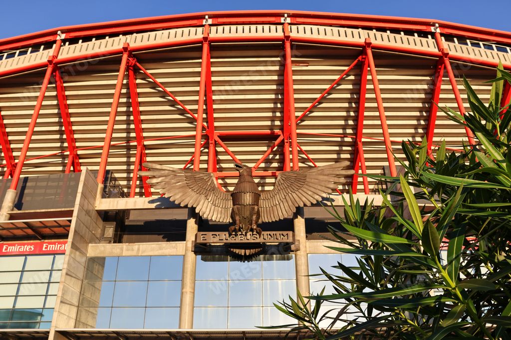 The Estadio da Luz (Stadium of Light)