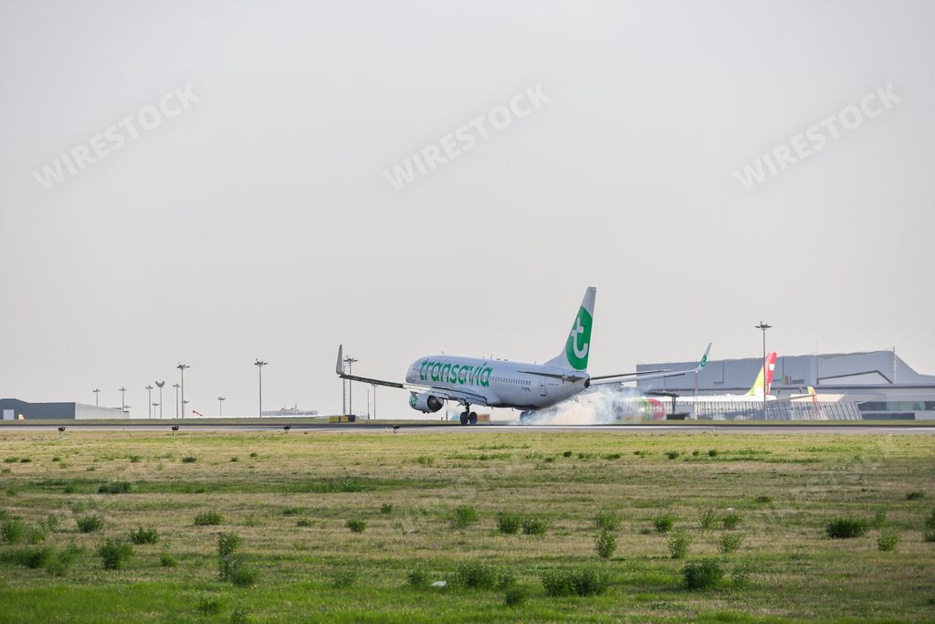 A Boeing 737-84P airplane of the Transavia airline, at Lisbon airport at sunrise, surrounded by a green lawn