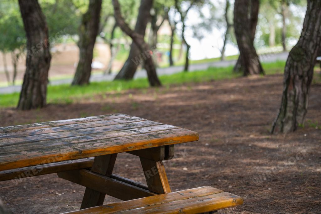 A wooden picnic table in the park with high trees