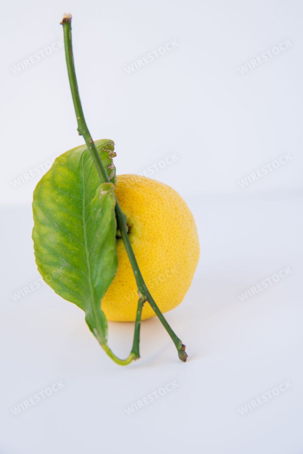 A vertical shot of lemon isolated on a white background