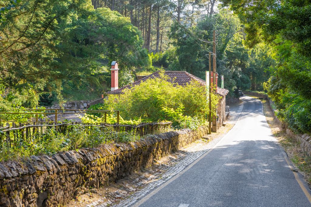 A small farm of Quintinha de Monserrate in Sintra, Portugal during daytime