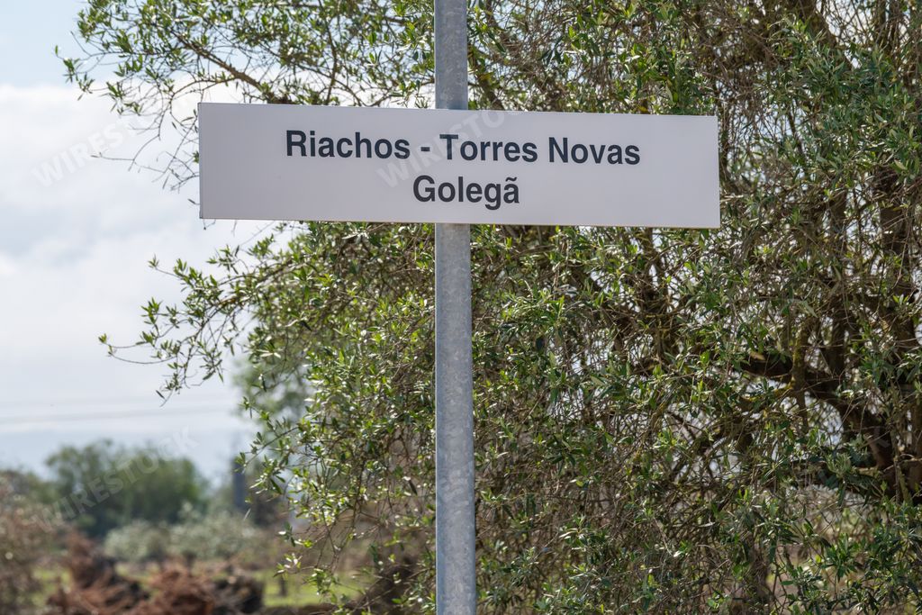 An Information white board of the Riachos Railway Station in Torres Novas, Golega with trees