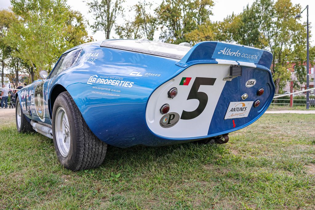 A rear view of the mesmerizing Shelby Daytona Cobra Coupe classic racing car in a field