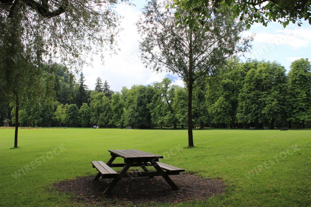 An empty picnic table at a park with manicured lawn and leafy trees