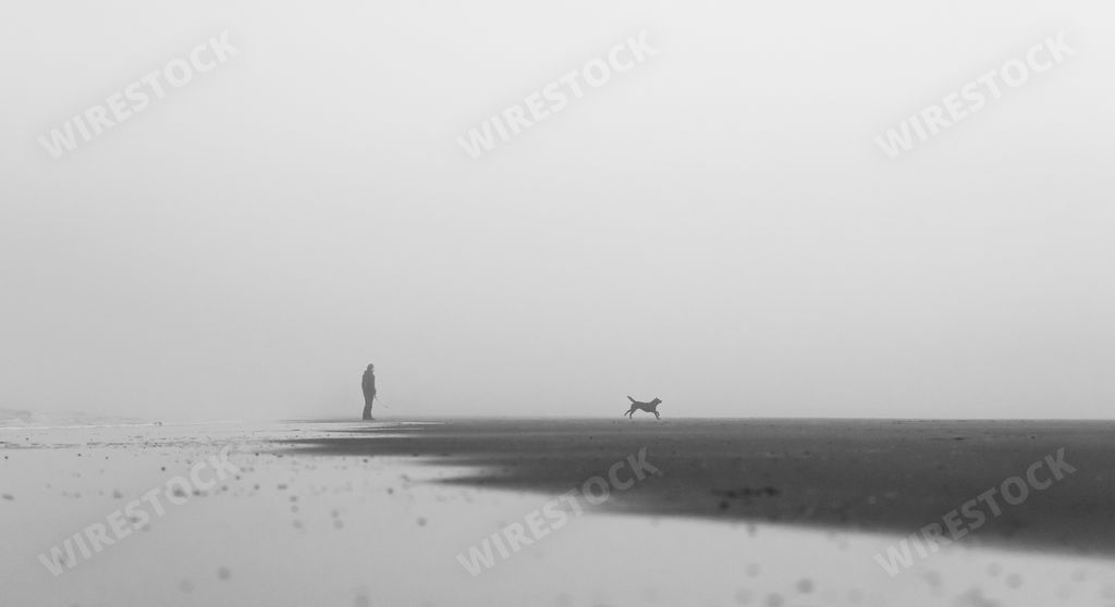 A grayscale shot of Early morning beach walk with dog in misty conditions
