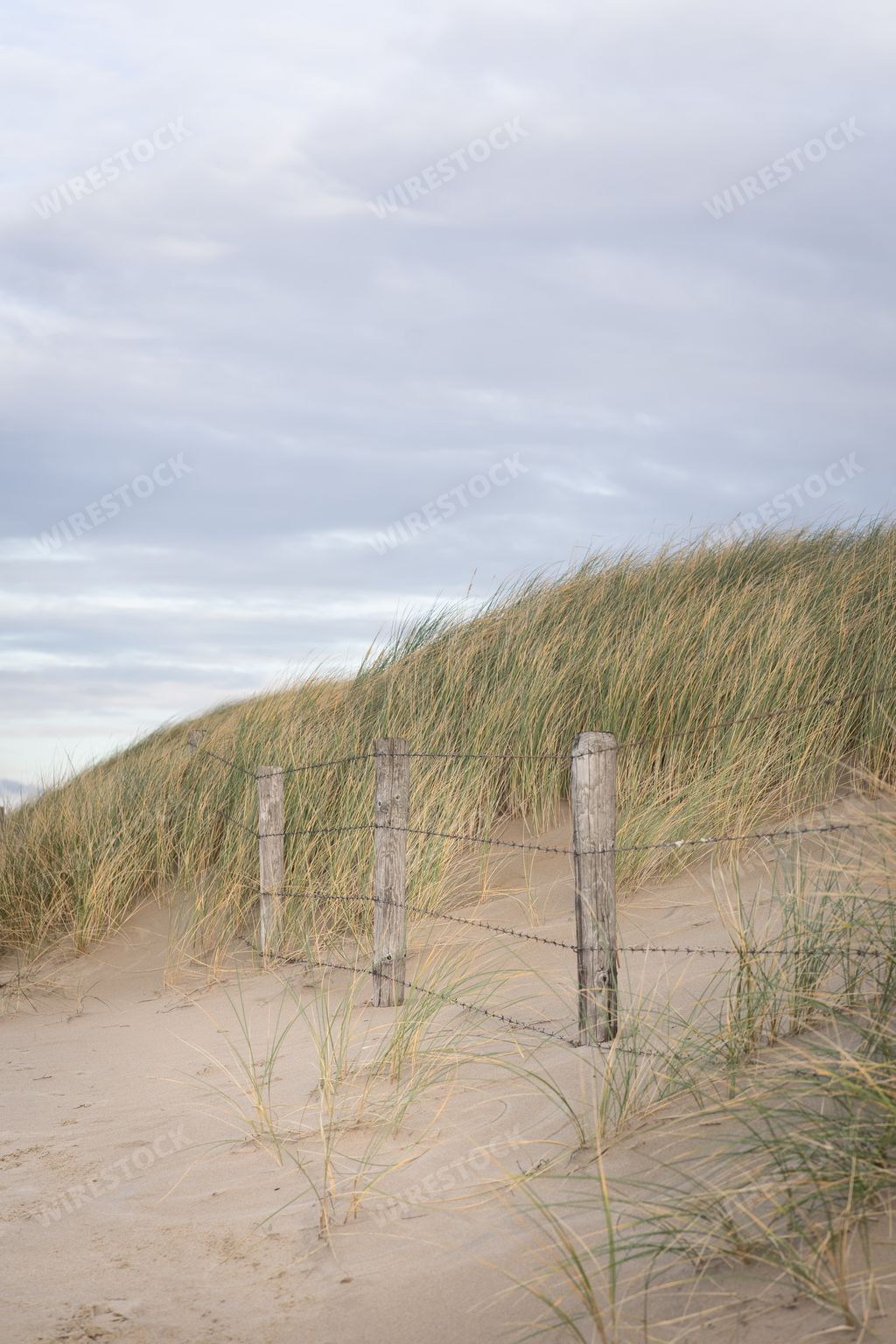 A beautiful view of sand dunes on the beach under a cloudy sky