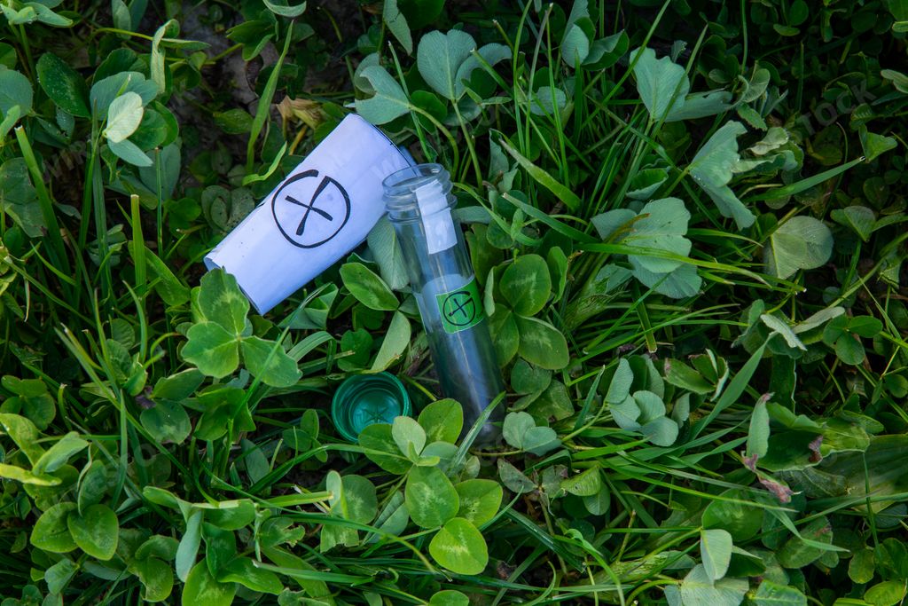 The container called "geocach" on green grass for an outdoor recreational activity - geocaching