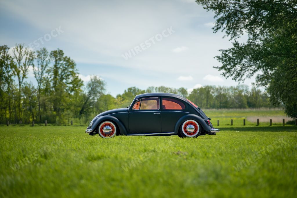 Black retro car VW Beetle with orange windows in a grassfield.